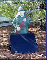 Caswell protection Box